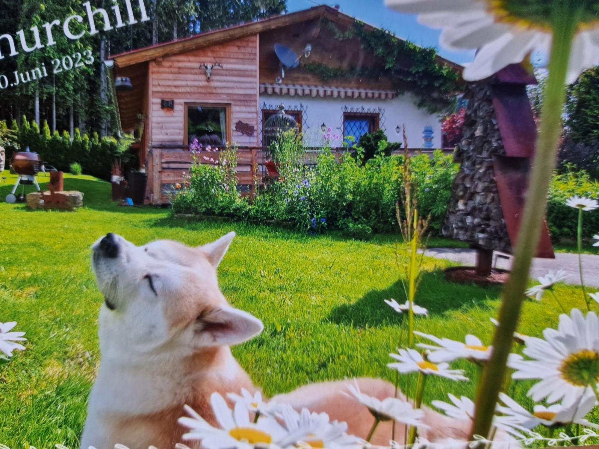 Villa Knusperhaeuschen Maria Nikoletta Witra Esterno foto
